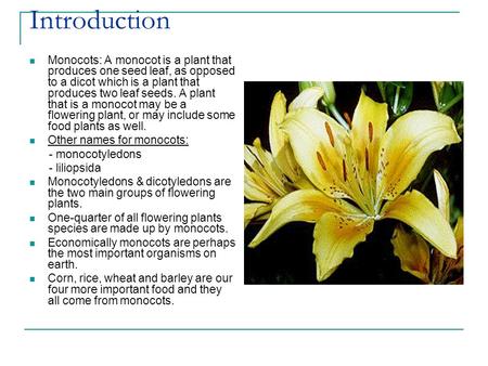 Introduction Monocots: A monocot is a plant that produces one seed leaf, as opposed to a dicot which is a plant that produces two leaf seeds. A plant that.