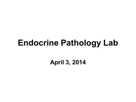 Endocrine Pathology Lab