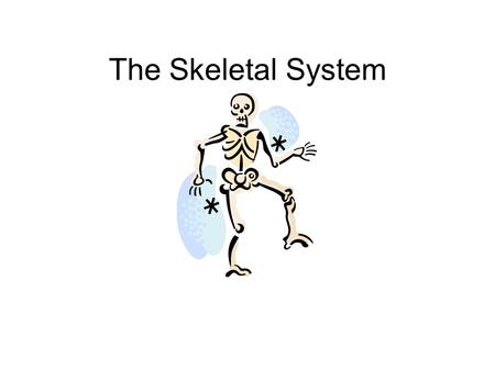 The Skeletal System.