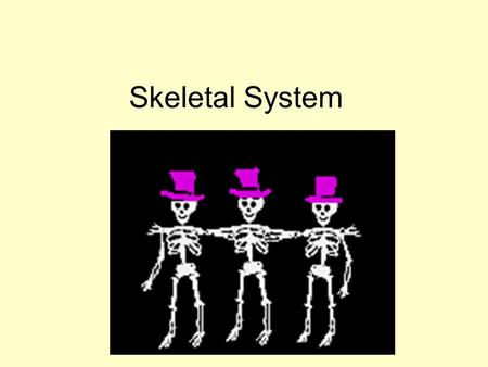 Skeletal System.