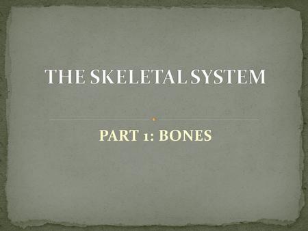 PART 1: BONES. made up of CT, epithelial tissue, & nerve tissue 18% of weight of human body Skeletal System includes bones & cartilage Part 1: Bone Part.