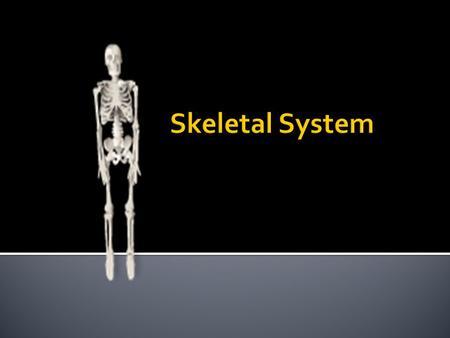  1. SUPPORT – it supports the softer tissues and provides points of attachment for most skeletal muscles.  2. PROTECTION – bones protect internal organs.