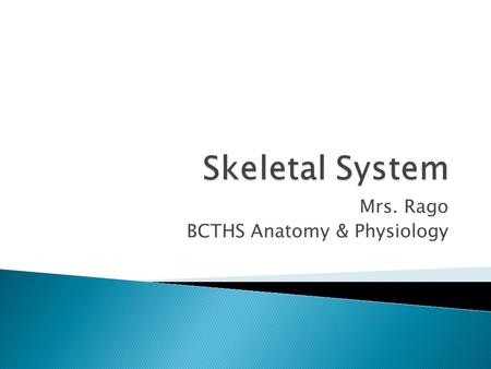 Mrs. Rago BCTHS Anatomy & Physiology.  Support & stabilize  Protect vital organs  Assists in movement  Makes blood cells ◦ Hematopoiesis  Storage.