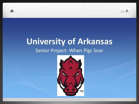 University of Arkansas Senior Project- When Pigs Soar.