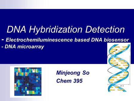 DNA Hybridization Detection - Electrochemiluminescence based DNA biosensor - DNA microarray Minjeong So Chem 395.