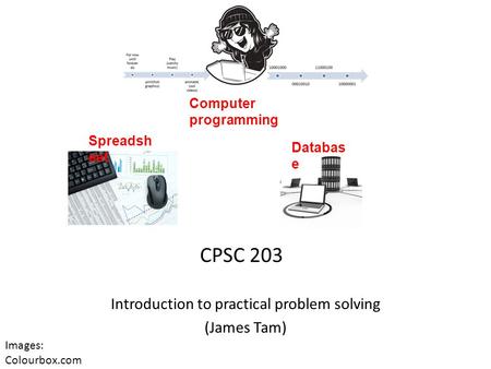 CPSC 203 Introduction to practical problem solving (James Tam) Databas e Spreadsh eet Computer programming Images: Colourbox.com.