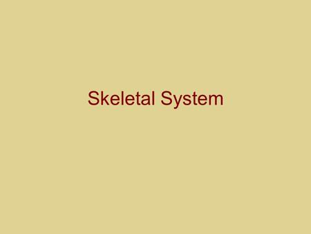 Skeletal System.