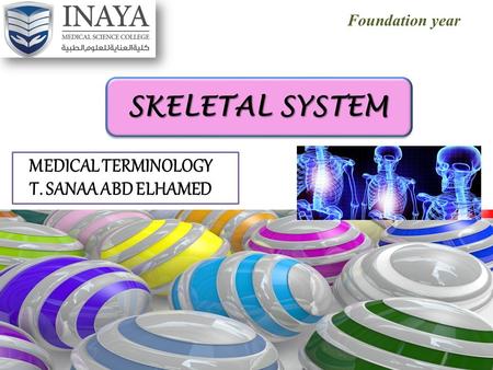 Foundation year SKELETAL SYSTEM MEDICAL TERMINOLOGY T. SANAA ABD ELHAMED.