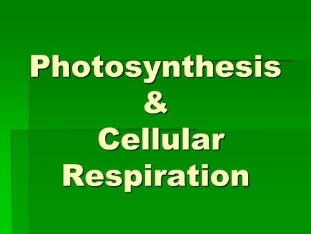 Photosynthesis & Cellular Respiration