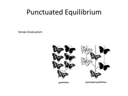 Punctuated Equilibrium Verses Gradualism. What Drives Evolution.