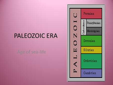 PALEOZOIC ERA Age of sea-life. CAMBRIAN 542 mya Gondwanaland- mainly in S. Hemisphere “waterworld”