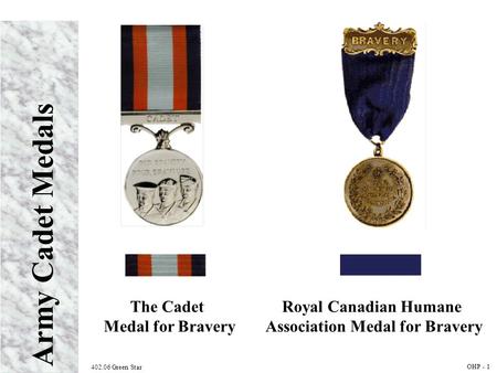 Association Medal for Bravery