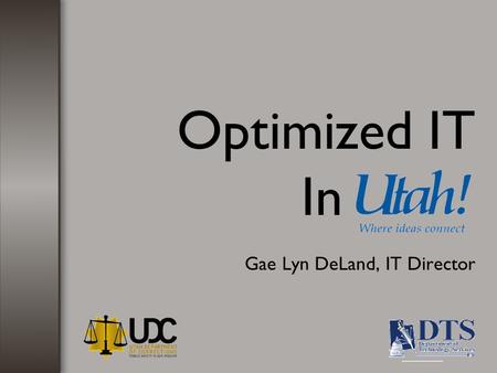 Optimized IT Gae Lyn DeLand, IT Director In. March 15, 2007 IT Governance General Description: “This Bill consolidates information technology services.