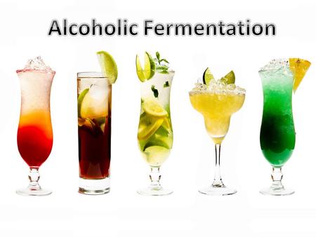 Fermentation: metabolic process in which an organism converts a carbohydrate alcohol or an acid Beer is made from four basic ingredients: Barley, water,