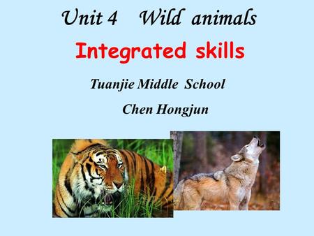 Unit 4 Wild animals Integrated skills Tuanjie Middle School Chen Hongjun.