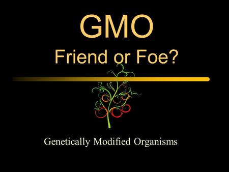 GMO Friend or Foe? Genetically Modified Organisms.