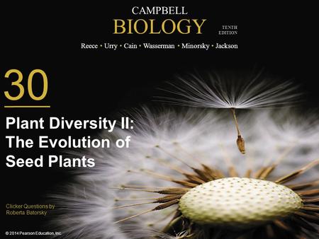 Plant Diversity II: The Evolution of Seed Plants