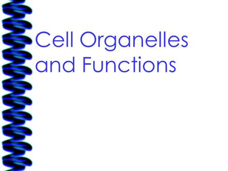 Cell Organelles and Functions