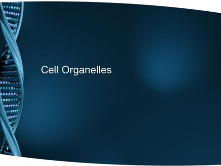 Cell Organelles. Prokaryotic Cells vs. Eukaryotic Cells Prokaryote Smaller May contain internal membranes but are far less complicated. Carry out all.