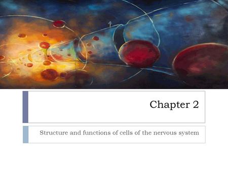 Structure and functions of cells of the nervous system