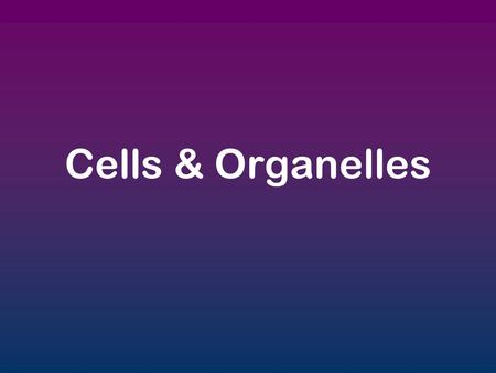 Cells & Organelles.