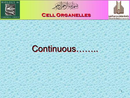 1 Cell Organelles Continuous……... 2 The Cytoskeleton الهيكل الخلوى Pages 126 - 131 A network of fibresrovide structural support تدعيم to the cell extending.