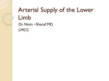 Arterial Supply of the Lower Limb