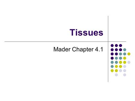 Tissues Mader Chapter 4.1. Types of Tissues A tissue is composed of specialized cells of the same type that perform a common function. *Four primary tissues.