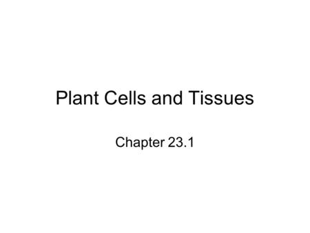 Plant Cells and Tissues