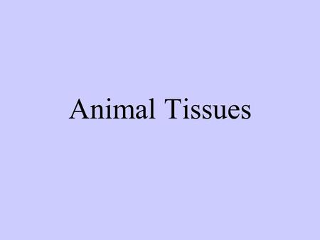 Animal Tissues.