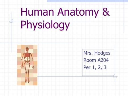 Human Anatomy & Physiology