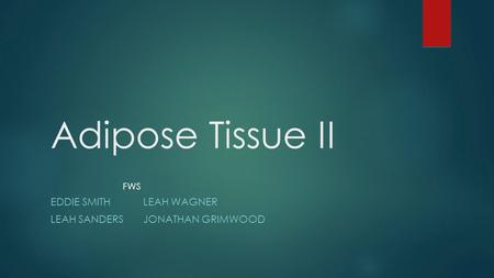 Adipose Tissue II EDDIE SMITHLEAH WAGNER LEAH SANDERSJONATHAN GRIMWOOD FWS.