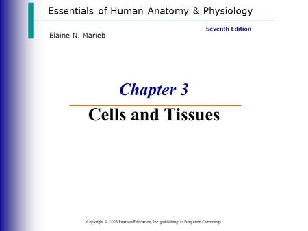 Essentials of Human Anatomy & Physiology Copyright © 2003 Pearson Education, Inc. publishing as Benjamin Cummings Seventh Edition Elaine N. Marieb Chapter.