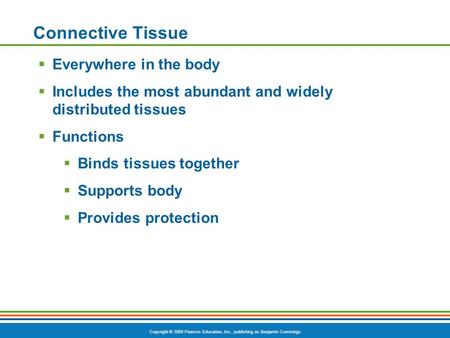 Copyright © 2009 Pearson Education, Inc., publishing as Benjamin Cummings Connective Tissue  Everywhere in the body  Includes the most abundant and widely.