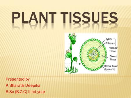 Presented by, K.Sharath Deepika B.Sc (B.Z.C) II nd year.