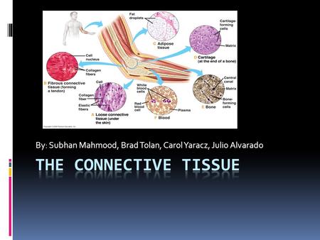 By: Subhan Mahmood, Brad Tolan, Carol Yaracz, Julio Alvarado.