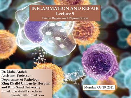 1 Dr. Maha Arafah Assistant Professor Department of Pathology King Khalid University Hospital and King Saud University   marafah.