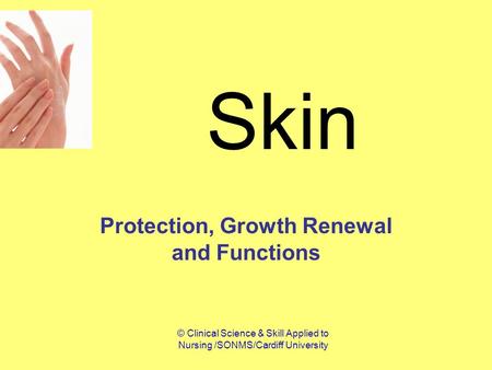 © Clinical Science & Skill Applied to Nursing /SONMS/Cardiff University Skin Protection, Growth Renewal and Functions.