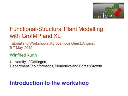 Functional-Structural Plant Modelling with GroIMP and XL