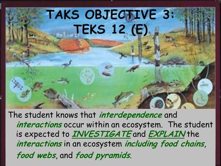 TAKS OBJECTIVE 3: TEKS 12 (E)