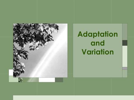 Adaptation and Variation