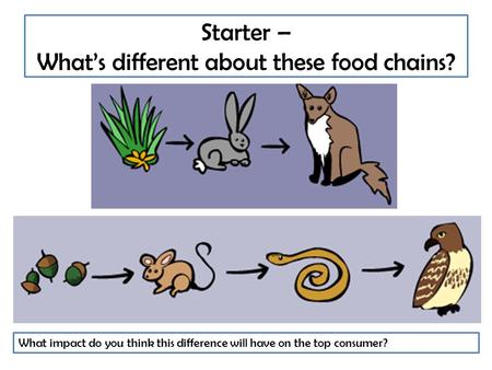 Starter – What’s different about these food chains? What impact do you think this difference will have on the top consumer?