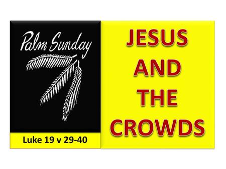 Luke 19 v 29-40. Luke 19:37 Then, as He was now drawing near the descent of the Mount of Olives, the whole multitude of the disciples began to rejoice.