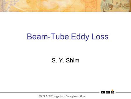 FAIR MT/Cryogenics, Seong Yeub Shim Beam-Tube Eddy Loss S. Y. Shim.