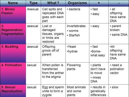 NameTypeWhat ?Organisms+- 1. Binary Fission AsexualCell splits and replicated DNA goes with each part bacteria fast easy all offspring have same DNA 2.