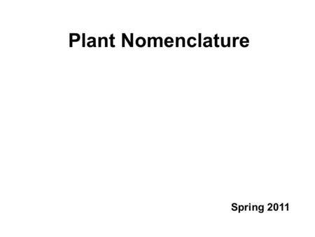 Plant Nomenclature Spring 2011. So far… We have been using names of plants to discuss their “position” in the plant kingdom, reflecting some level of.