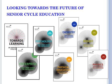 LOOKING TOWARDS THE FUTURE OF SENIOR CYCLE EDUCATION.