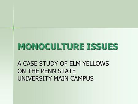 MONOCULTURE ISSUES A CASE STUDY OF ELM YELLOWS ON THE PENN STATE UNIVERSITY MAIN CAMPUS.