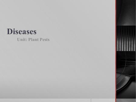 Diseases Unit: Plant Pests. Objectives: 1)Explain diseases as related to plants 2)Describe the types and causes of plant diseases 3)Explain how common.