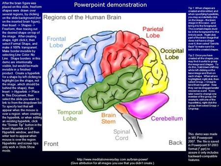 Powerpoint demonstration After the brain figure was placed on this slide, freeform shapes were drawn over several regions, by clicking on the slide background.